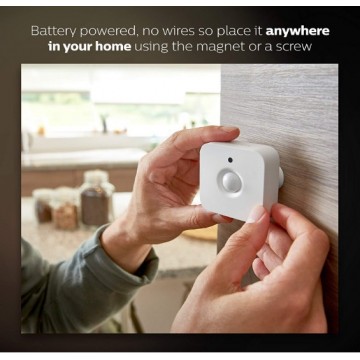 Philips Hue Motion Sensor - lightings.com.sg